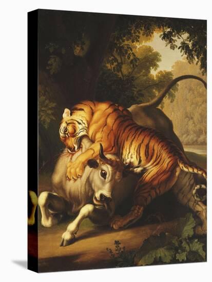 A Tiger Attacking a Bull, 1785-Johan Wenzel Peter-Premier Image Canvas