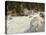 A Torrent in Norway, 1901-John Singer Sargent-Premier Image Canvas