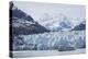 A Tourist Ship Explores the Lamplugh Glacier in Glacier Bay National Park and Preserve, Alaska-Michael Nolan-Premier Image Canvas