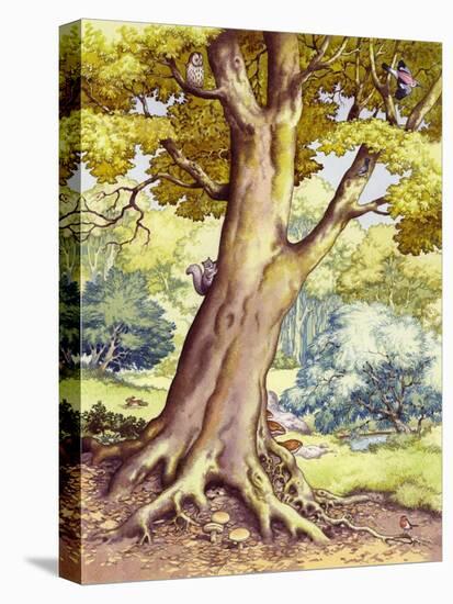 A Tree Full of Wildlife-Pat Nicolle-Premier Image Canvas