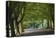 A Tree-Lined Avenue in Clifton, Bristol, England, United Kingdom, Europe-Nigel Hicks-Premier Image Canvas