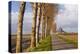 A Tree Lined Avenue Leads Towards Mont Saint Michel, UNESCO World Heritage Site, Normandy, France-Julian Elliott-Premier Image Canvas
