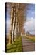 A Tree Lined Avenue Leads Towards Mont Saint Michel, UNESCO World Heritage Site, Normandy, France-Julian Elliott-Premier Image Canvas