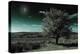 A Tree under a Night Sky-Mark Gemmell-Premier Image Canvas