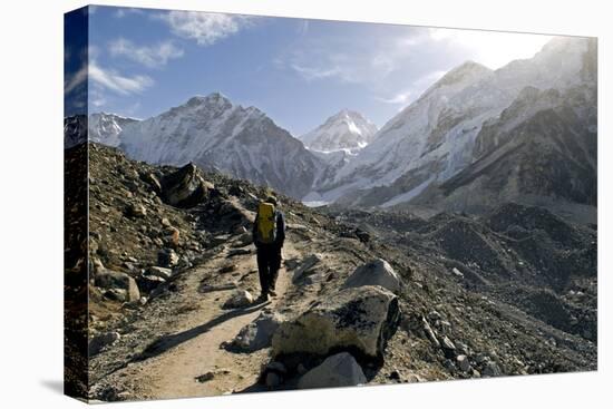 A Trekker on the Everest Base Camp Trail, Nepal-David Noyes-Premier Image Canvas