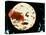 A Trip to the Moon, (aka Le Voyage dans le Lune), 1902-null-Stretched Canvas