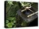 A Tsukubai With Bamboo Ladle in a Garden at Sanzenin Temple in Ohara, Kyoto, Japan-null-Premier Image Canvas