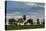 A Typical Farm Scene in Bonito with Cerrado Vegetation, Brazil-Alex Saberi-Premier Image Canvas