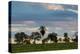 A Typical Farm Scene in Bonito with Cerrado Vegetation, Brazil-Alex Saberi-Premier Image Canvas