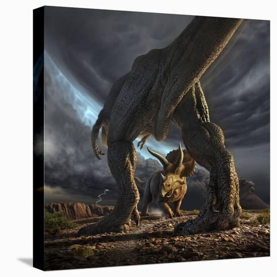 A Tyrannosaurus Rex and Triceratops in a Classic Face Off-null-Stretched Canvas