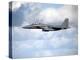 A United States Air Force F-15 Strike Eagle in Flight-Stocktrek Images-Premier Image Canvas