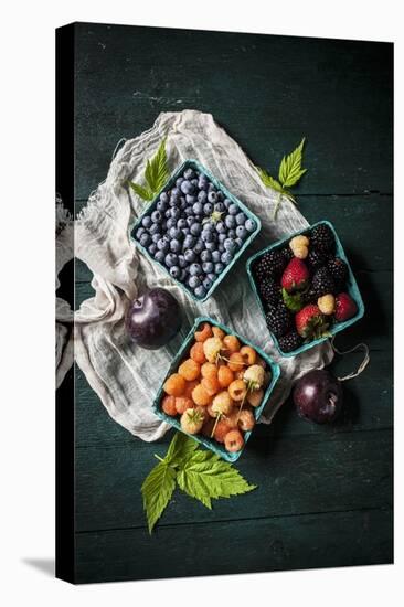A Variety of Fresh Berries-Evangelia Kosmas-Premier Image Canvas