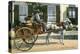 A Vegetable Dealer, Bermuda, C1900s-null-Premier Image Canvas