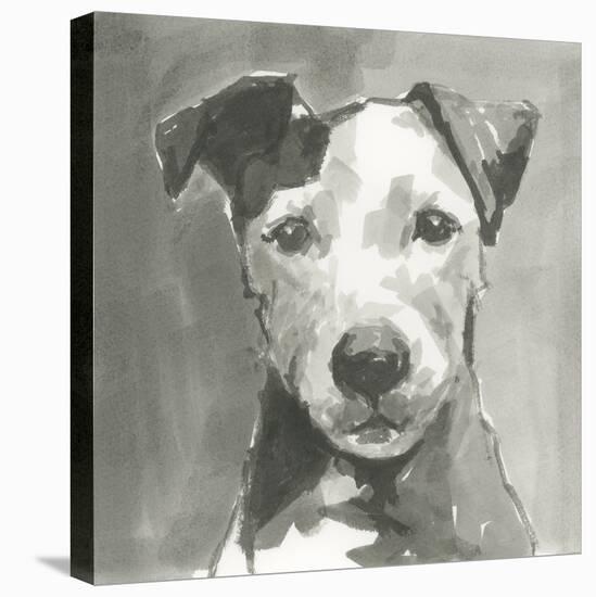 A Very Neutral Modern Dog VI-null-Stretched Canvas