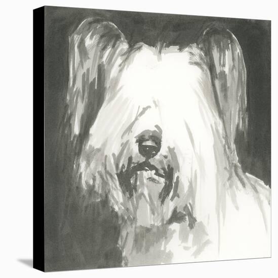 A Very Neutral Modern Dog VIII-null-Stretched Canvas