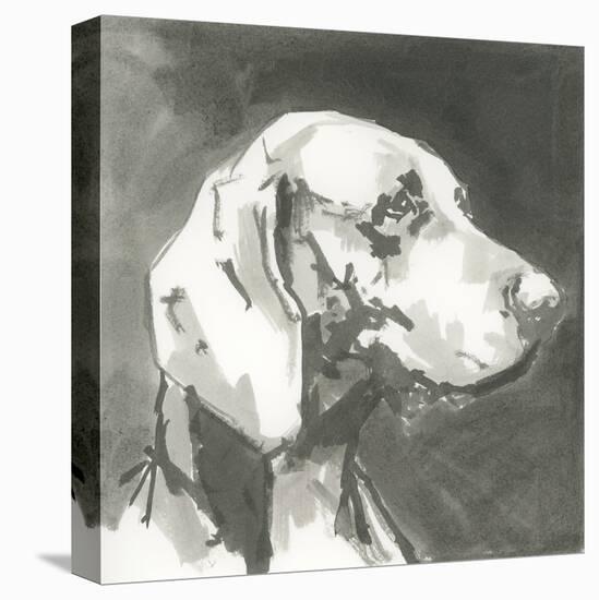 A Very Neutral Modern Dog XII-null-Stretched Canvas