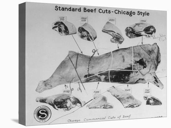 A View of a Meat Poster Showing Different Parts of a Cow from a Story Concerning Army Rations-null-Premier Image Canvas