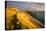 A View of Durdle Door in Dorset-Chris Button-Premier Image Canvas