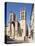 A View of Montpellier Cathedral, Montpellier, Languedoc-Roussillon, France, Europe-David Clapp-Premier Image Canvas