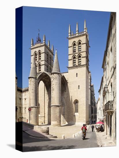 A View of Montpellier Cathedral, Montpellier, Languedoc-Roussillon, France, Europe-David Clapp-Premier Image Canvas