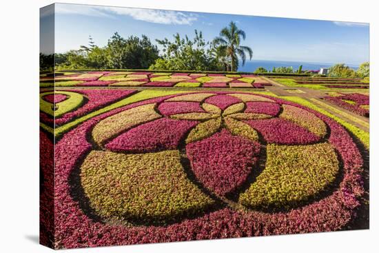 A View of the Botanical Gardens-Michael Nolan-Premier Image Canvas