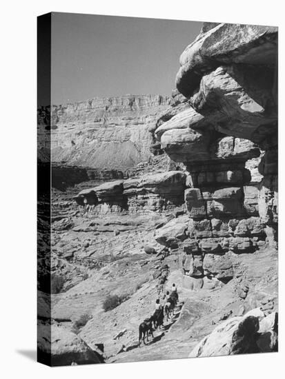 A View of the Grand Canyon National Park-null-Premier Image Canvas