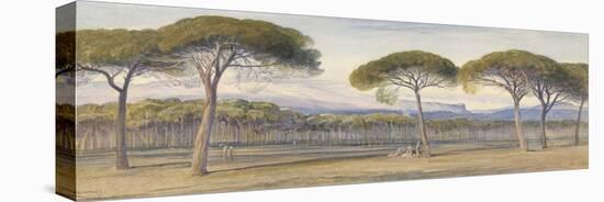 A View of the Pine Woods Above Cannes, 1869-Edward Lear-Premier Image Canvas