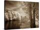 A View To Remember-Ily Szilagyi-Stretched Canvas