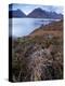 A View Towards the Cuillin Hills Across Loch Ainort on the Isle of Skye, Scotland, United Kingdom-Jon Gibbs-Premier Image Canvas