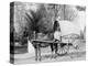 A Virginia Vegetable Cart-null-Stretched Canvas