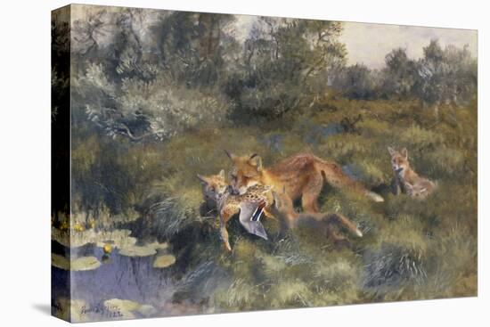 A Vixen with Her Cubs in a Wooded Marshy Landscape-Bruno Andreas Liljefors-Premier Image Canvas