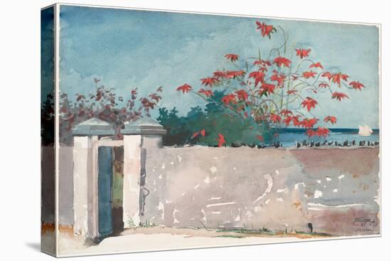 A Wall, Nassau, 1898 (W/C and Graphite on Paper)-Winslow Homer-Premier Image Canvas