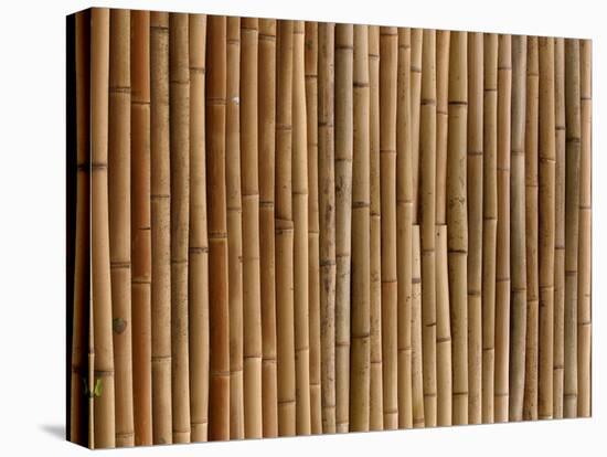 A Wall of Bamboo Stalks-null-Premier Image Canvas