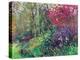 A Wander round the Garden-Sylvia Paul-Premier Image Canvas