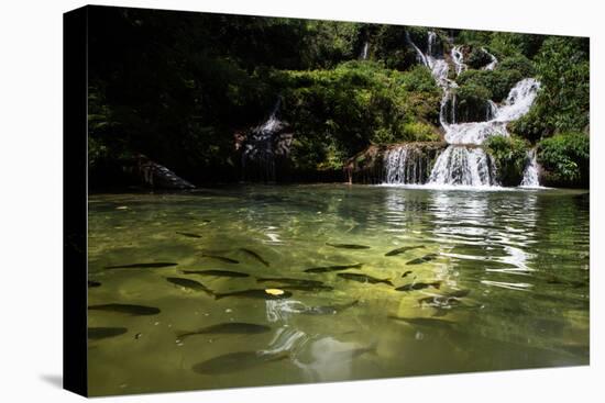 A Waterfall and Fish in the Rio Do Peixe in Bonito, Brazil-Alex Saberi-Premier Image Canvas