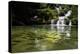 A Waterfall and Fish in the Rio Do Peixe in Bonito, Brazil-Alex Saberi-Premier Image Canvas