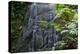 A Waterfall in the Mountain Jungles of the Serra Da Mantiqueira in Sao Paulo State-Alex Saberi-Premier Image Canvas