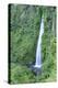 A waterfall on Chiloe Island, Northern Patagonia, Chile, South America-Alex Robinson-Premier Image Canvas