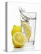 A Wedge of Lemon Falling into a Glass of Water-Kröger & Gross-Premier Image Canvas