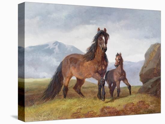 A Welsh Mountain Mare and Foal, 1854-John Frederick Herring I-Premier Image Canvas