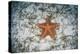 A West Indian Starfish on the Seafloor in Turneffe Atoll, Belize-Stocktrek Images-Premier Image Canvas