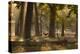 A Western Jackdaw, Corvus Monedula, Lands in Misty Forest in Autumn-Alex Saberi-Premier Image Canvas