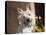 A White Cairn Terrier Sitting Next to Yellow Flowers-Zandria Muench Beraldo-Premier Image Canvas