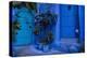 A white cat peeks out a blue door. Chefchaouen, Morocco-Karine Aigner-Premier Image Canvas