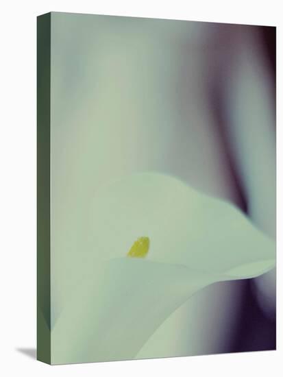 A White Lily Covering a Nude Female Figure-India Hobson-Premier Image Canvas