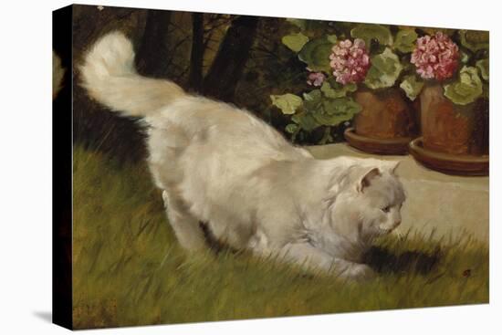 A White Persian Cat with a Ladybird-Cecil Aldin-Premier Image Canvas