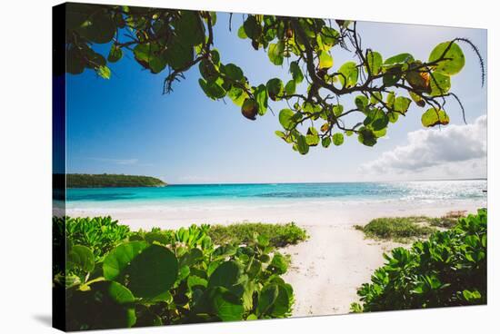 A White Sand Beach On The Island Of Eleuthera, The Bahamas-Erik Kruthoff-Stretched Canvas
