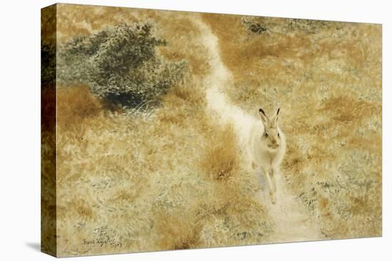 A Winter-Hare in a Landscape-Bruno Liljefors-Premier Image Canvas