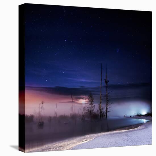 A Winter Night-Shu-Guang Yang-Premier Image Canvas