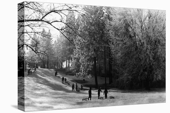 A Winter View of Manito Park - Spokane, WA-Lantern Press-Stretched Canvas